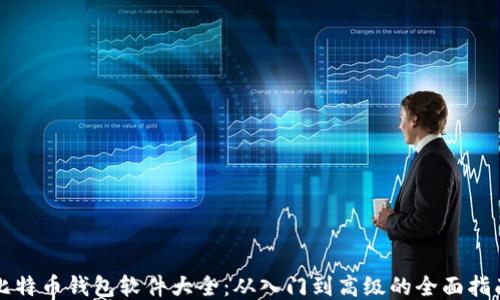 比特币钱包软件大全:从入门到高级的全面指南