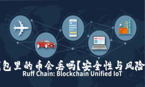 TP钱包里的币会丢吗?安全性与风险分析