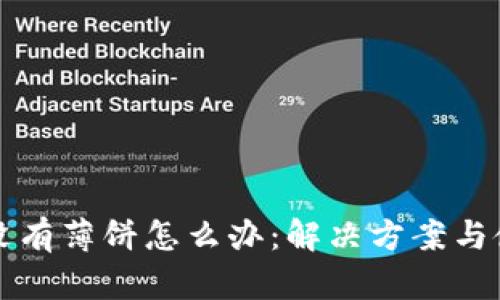 TP钱包没有薄饼怎么办:解决方案与使用指南