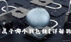狗狗币（Dogecoin）属于哪个钱包链？详