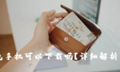 以太坊钱包手机可以下载吗？详细解析