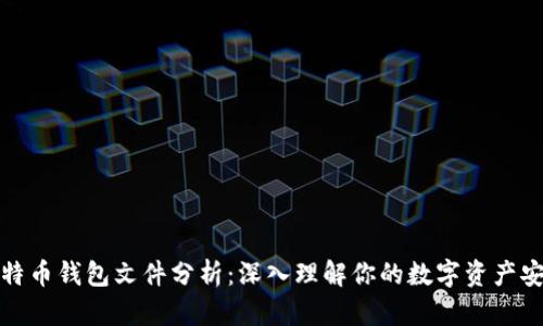 比特币钱包文件分析:深入理解你的数字资产安全