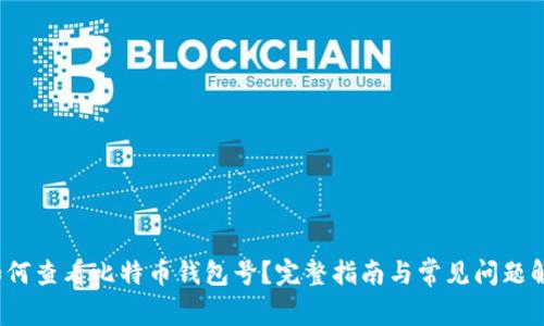 如何查看比特币钱包号?完整指南与常见问题解答
