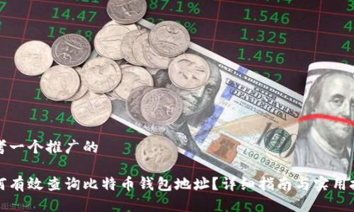 思考一个推广的
如何有效查询比特币钱包地址?详细指南与实用技巧