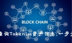 如何查询Tokenim资产信息：一步步指南