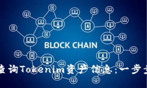 如何查询Tokenim资产信息:一步步指南