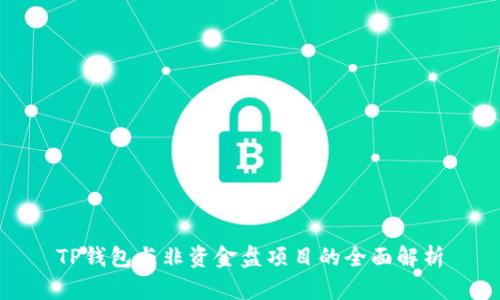 TP钱包与非资金盘项目的全面解析