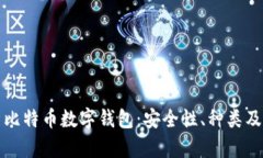 全面解析比特币数字钱包：安全性、种