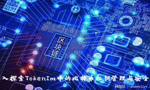 深入探索TokenIm中的比特币私钥管理与安全性