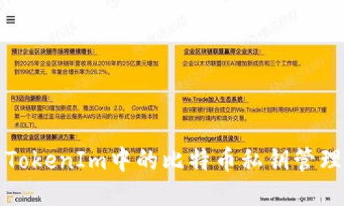 深入探索TokenIm中的比特币私钥管理与安全性