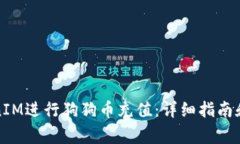 如何使用TokenIM进行狗狗币充值：详细