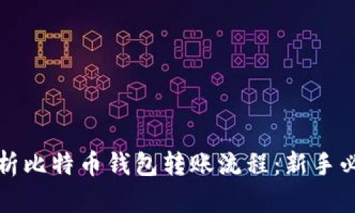 全面解析比特币钱包转账流程：新手必读指南