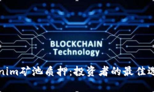 全面解析Tokenim矿池质押:投资者的最佳选择与实践指南