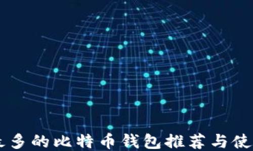 用户最多的比特币钱包推荐与使用指南