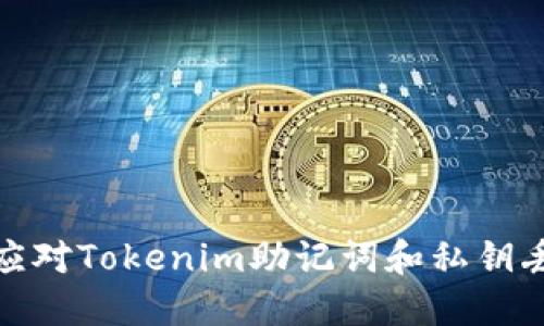 如何安全应对Tokenim助记词和私钥丢失的风险