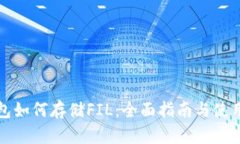 TP钱包如何存储FIL：全面指南与使用技