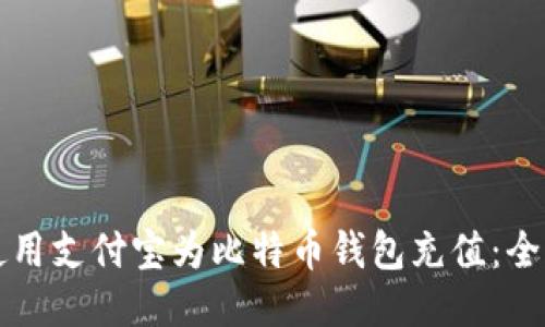 如何使用支付宝为比特币钱包充值：全面指南