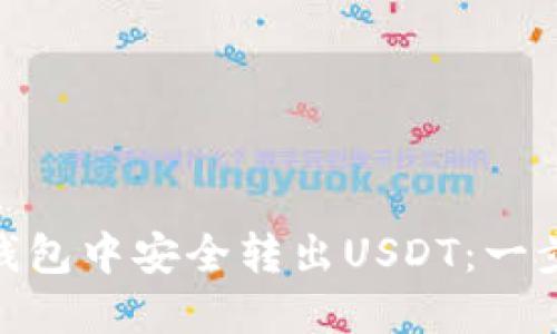 如何在Tokenim钱包中安全转出USDT：一步一步的详尽指南