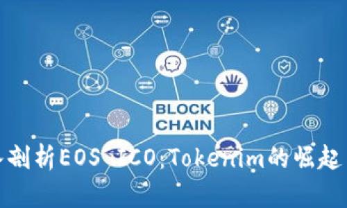 : 深入剖析EOS ICO：Tokenim的崛起与未来