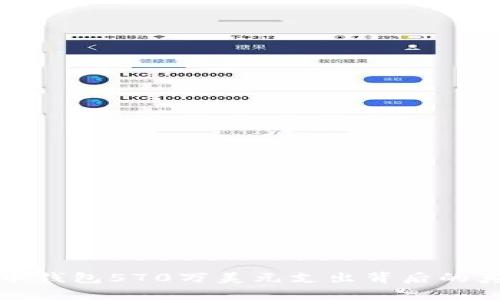 揭秘比特币钱包570万美元支出背后的真相与意义