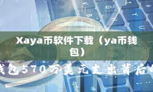 揭秘比特币钱包570万美元支出背后的真相与意义