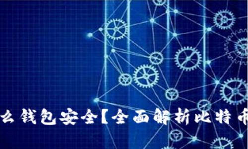 比特币放入什么钱包安全?全面解析比特币钱包的安全性