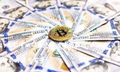 关于“Tokenim支持波场吗”的问题，我
