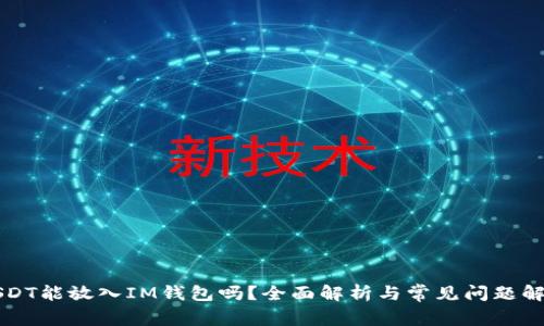 USDT能放入IM钱包吗？全面解析与常见问题解答