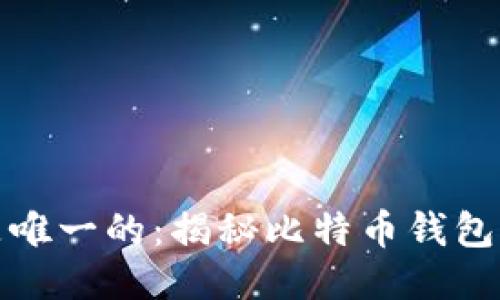 每个比特币钱包都是唯一的：揭秘比特币钱包的工作原理与安全性