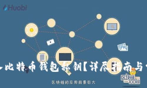 如何安全导入比特币钱包私钥?详尽指南与常见问题解答