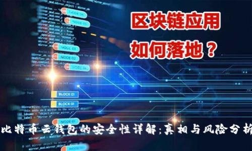比特币云钱包的安全性详解:真相与风险分析
