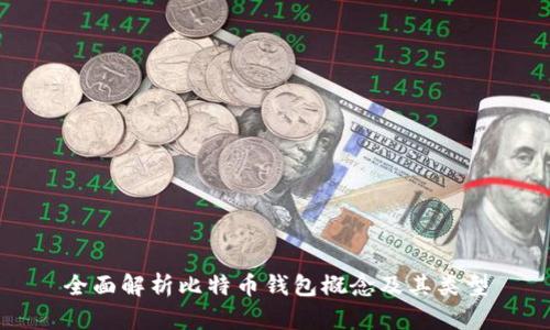 全面解析比特币钱包概念及其类型