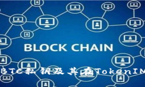 深入了解BTC私钥及其在TokenIM中的应用