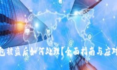TP钱包被盗后如何处理？全面指南与应