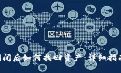 : Tokenim倒闭后如何找回资产：详细指南