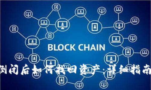 : Tokenim倒闭后如何找回资产:详细指南与应对策略