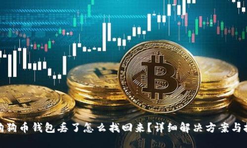 : 狗狗币钱包丢了怎么找回来?详细解决方案与技巧