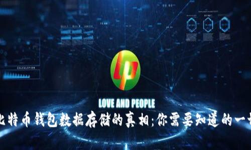 比特币钱包数据存储的真相:你需要知道的一切