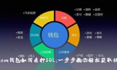  Phantom钱包如何质押SOL：一步步教你轻