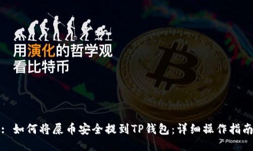 : 如何将屎币安全提到TP钱包:详细操作指南