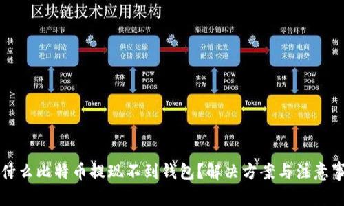 为什么比特币提现不到钱包?解决方案与注意事项