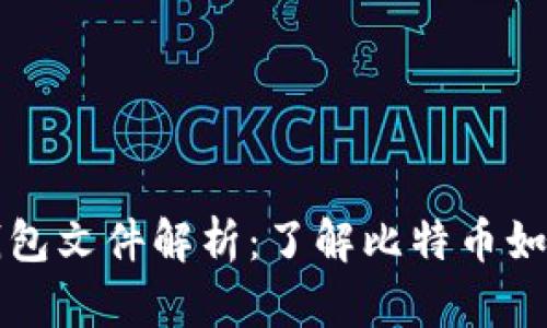 早期比特币钱包文件解析:了解比特币如何存储与管理