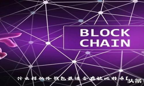 什么样的冷钱包最适合存放比特币?