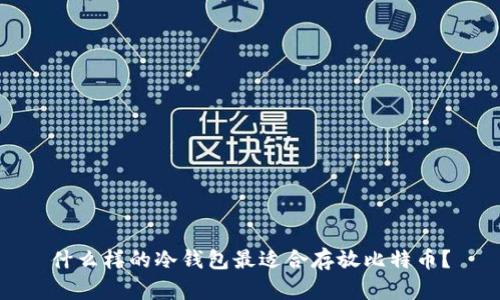 什么样的冷钱包最适合存放比特币?