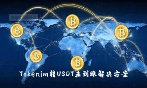 Tokenim转USDT未到账解决方案
