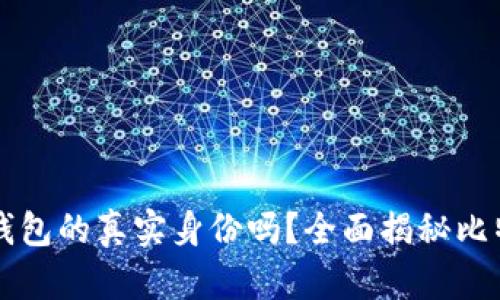 能查出比特币钱包的真实身份吗?全面揭秘比特币隐私和追踪