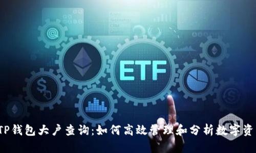 TP钱包大户查询:如何高效管理和分析数字资产