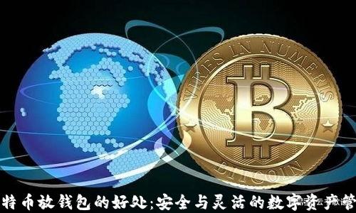 比特币放钱包的好处:安全与灵活的数字资产管理