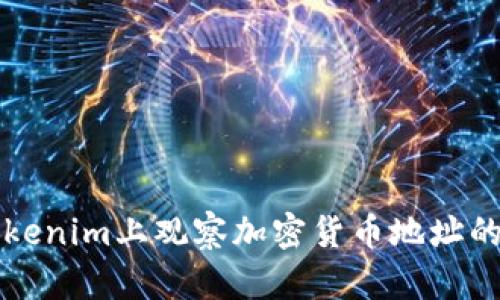如何在Tokenim上观察加密货币地址的详细指南