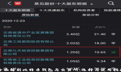 全面解析比特币钱包与交易所:选择与使用指南